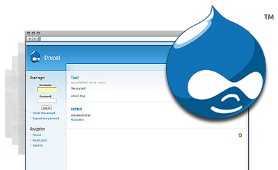 Drupal Hosting Plan